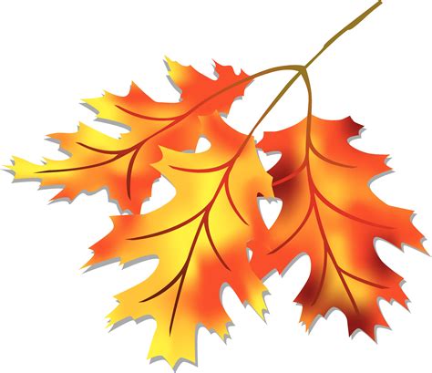 autumn leaves clipart|fall leaves clip art free.